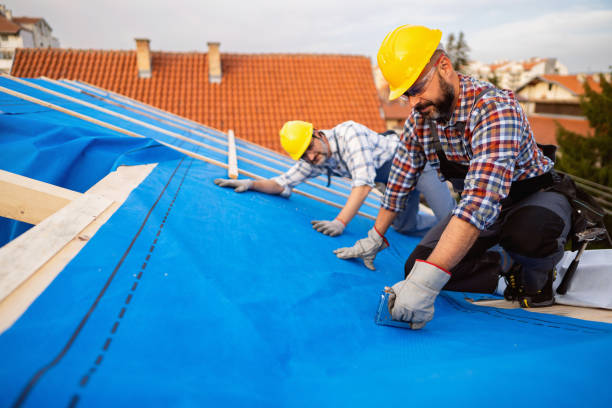 Best Residential Roof Replacement  in Salamanca, NY